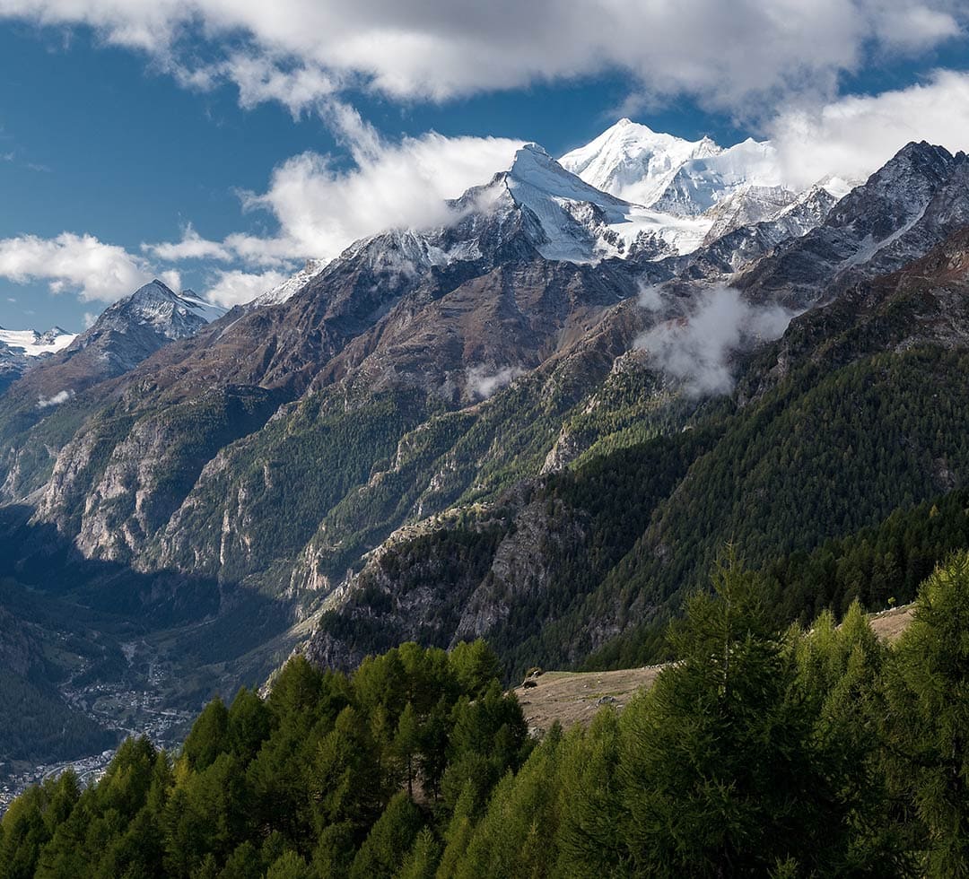 An alpine valley in spring, with green trees and snowy peaks.