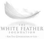 Logo de la Fondation White Feather