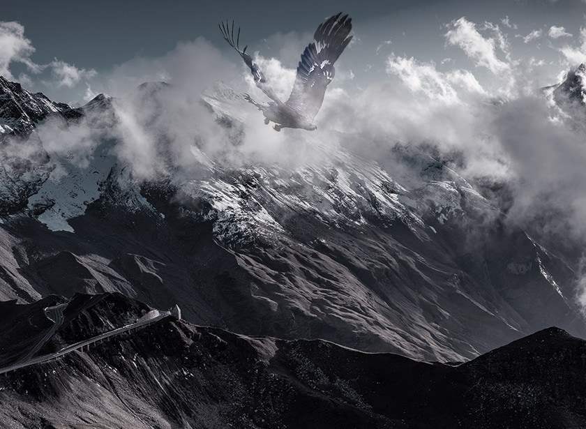 Un aigle survolant une vallée alpine sous les nuages.
